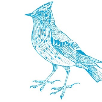 We are a queer/trans housing coop in Brighton - Member of @RadicalRoutes