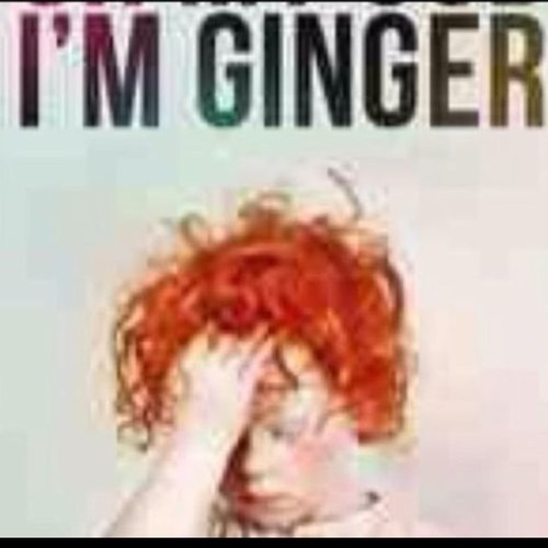 Andrew Mason Profile