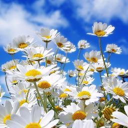 quitapenas65's profile picture. 