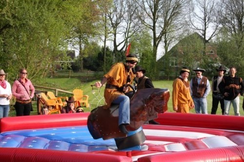 ballorigverhuur's profile picture. Ballorigverhuur.  Van Luchtkussen tot Rodeostier, van Suikerspin tot Bungeetrampoline. Vestigingen in Assen, Meppel en Stadskanaal.
