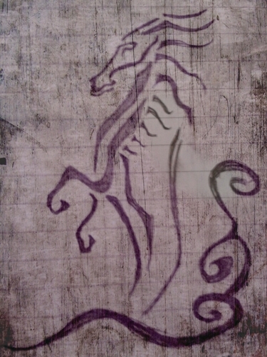 snsrdns's profile picture. Wandering.. Wondering..