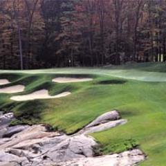 estarr17's profile picture. 