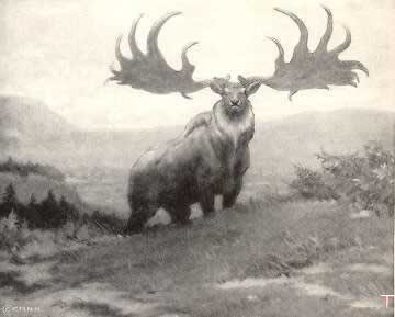 luisagomez175's profile picture. Es mayor la alegría de dar que la de recibir...