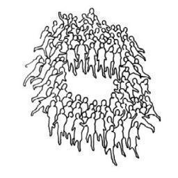 Asambleas del Poder Popular