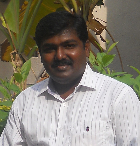 Professional Social Worker