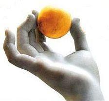 Banyeres Digital Profile