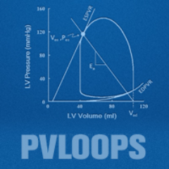 PVLoops