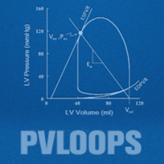 PVLoops's profile picture. PVLoops