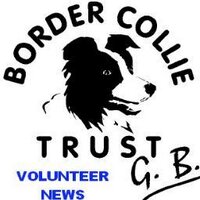 BCTGB Volunteers (@bctgbvolunteers) 's Twitter Profile
