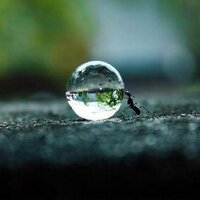 Isc (@macuscc) 's Twitter Profile