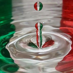Vendita occhiali da vista e da sole online, Gucci, Rayban, Dior, Prada, Dolce&Gabbana, e molti altri fra le più magnifiche marche d'occhiali.
