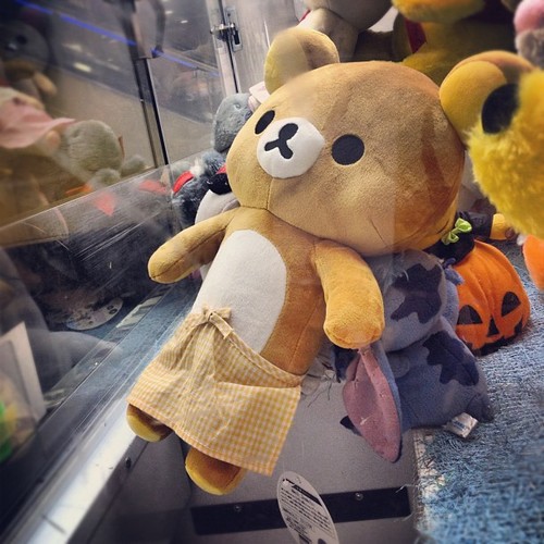 eve_volution's profile picture. Nothing..