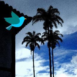 Aqui você fica de olho em quase tudo que acontece em nossa cidade.