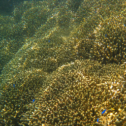 etsuko_n's profile picture. 