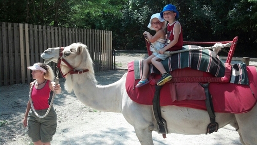 tiffmeike's profile picture. 