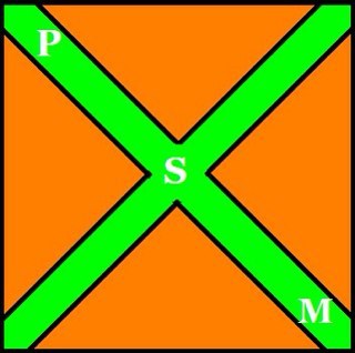 [Partido de la Sociedad Mexicana] Busca poner en orden a México, recién creado, aun no reconocido, pero con grandes esperanzas de salvar nuestra patria