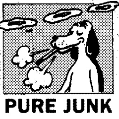 Pure Junk was a band. Members came from Double Dagger, Thee Lexington Arrows, Charm Offensive, etc. This account is also Nolen rambling. purejunkpunk@gmail.com