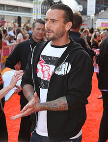 wwe fan
cm punk fan
