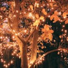 printmachine's profile picture. let me bake some cupcakes