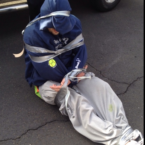 BDTC1's profile picture. Co-owner Davis Enterprise