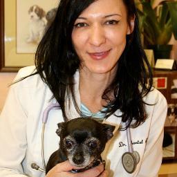 Cornell College of Veterinary Medicine graduate and #NYC veterinarian for 11 years.  I'm passionate about my job and practice with love, honesty, and integrity!