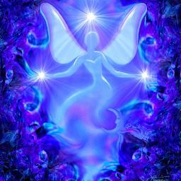 dearborn_kim's profile picture. 