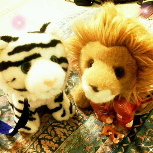 misako0921's profile picture. お酒/ﾃﾞｨｽﾞﾆｰ/ATAO/着物/ドライブ/仏像/EVANGELION/スポーツ(特にバスケとスノボと野球)/ジェルネイルが大好きです。子供3人。猫♂飼ってます♪