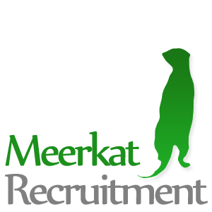 The Staffing Specialists