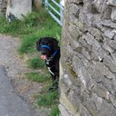 Helen Rees - @helly_j - Twitter