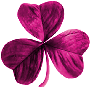 IrishFestivals's profile picture. Are you crazy for the Irish? Me too. Follow me to the magic land – or at least follow me to get some great info.