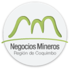 NegociosMineros's profile picture. 