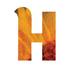 Janice Rudkowski (@helianthusinc) Twitter profile photo