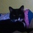 Lily Wiley - @lily_wiley - Twitter