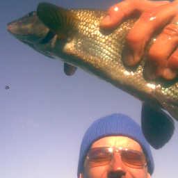 turunenp's profile picture. Valmennus,urheilu,liikunta,olosuhteet, jalkapallo,salibandy,KuPS,KalPa, ravit,kalastus,yrittäjyys,pörssi&talous. Sitä sun tätä&niitä sun näitä.