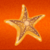 Aptos Life (@aptoslife) Twitter profile photo Aptos Life (@aptoslife) Twitter profile photo