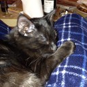 Richard Hindson  - @Hinie313 - Twitter