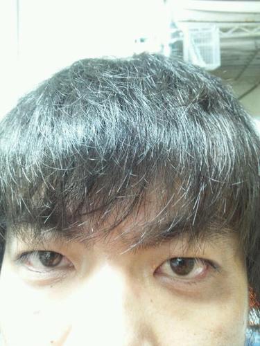 VANCO-HENDERSONS-Ba.Vocal、トキコウジバンド-Ba、イサオ＆アホン$ズ-ｲﾛｲﾛ。泥沼-G
あとマナブ･ヘンダーソンって名でソロでも活動中
(v＾∀＾v)ヨ・ロ・シ・ク