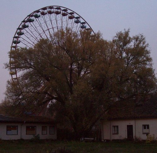 LarsWood's profile picture. 