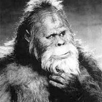 Bigfoot Monday (@atheistbigfoot) 's Twitter Profile Photo