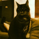 Sandra LsM - @SandraLisM - Twitter