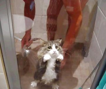 forextrader40's profile picture. don't take me too seriously!!