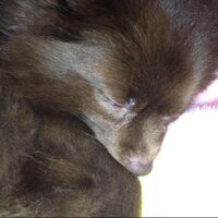 tad_yamapi (@tad_yamapi) 's Twitter Profile