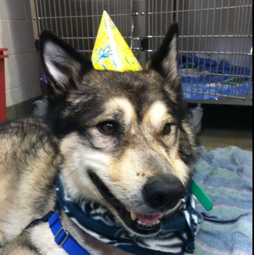 okayheather's profile picture. 