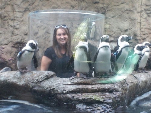 BNehrkorn's profile picture. 