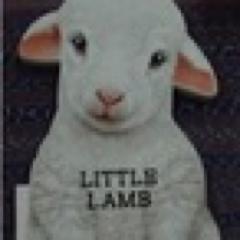 無言フォローお許しください。