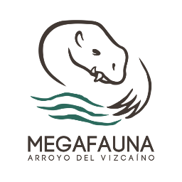 Arroyo del Vizcaínoさんのプロフィール画像