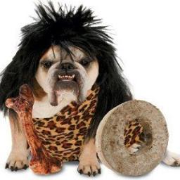 _dogcave's profile picture. The home of the dog cave pet bed