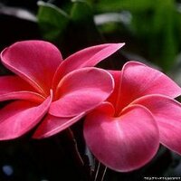 Punam Yadav (@punamy) 's Twitter Profile Photo Punam Yadav (@punamy) 's Twitter Profile Photo
