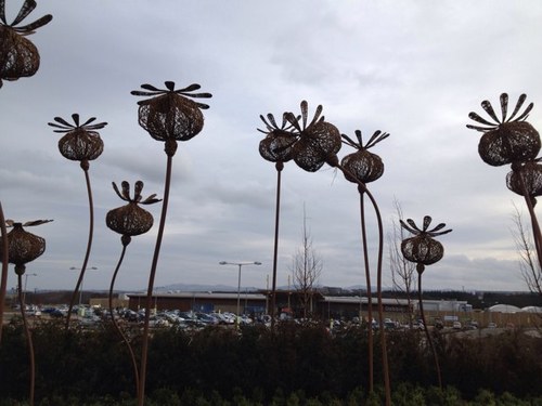 stefanomacaroni's profile picture. 