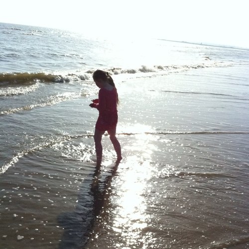 davidb137's profile picture. #COYS